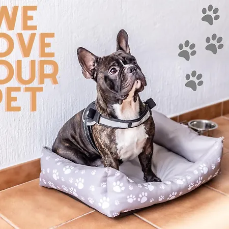 Mambo 滨海帕尔姆