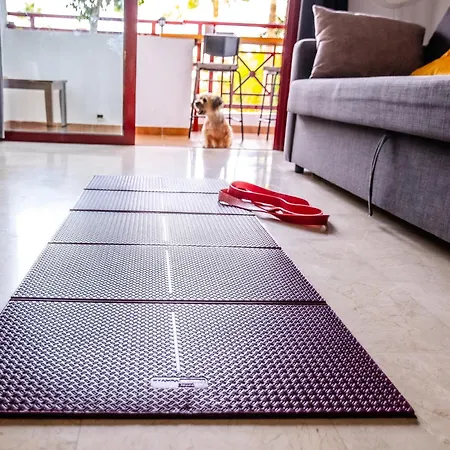 Mambo Appartamento Palm-mar